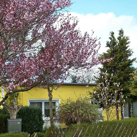 Ferienhaus Ferienhaus Sagard Rueg 751 *